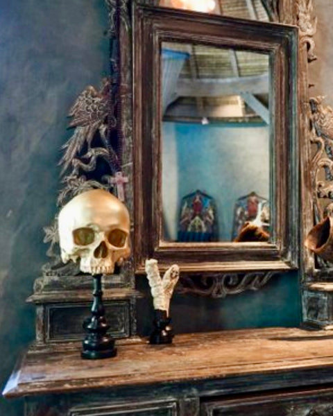 Stunning Human Skull - SOOKA