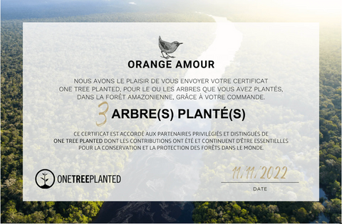 New Gold - JE SUIS MON ETOILE