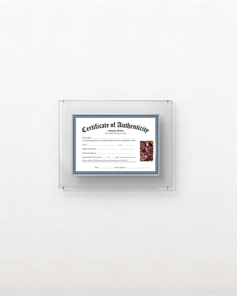 "Hurricane cooper" - GABRIEL BRISAN | AVA DESIGN