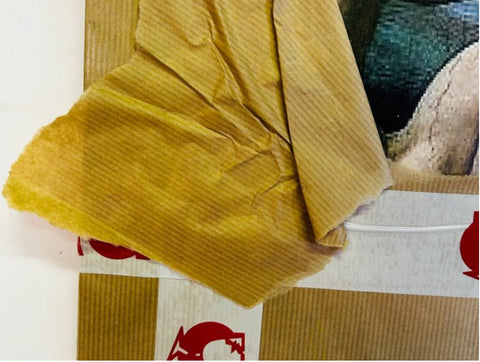 Escape from the Museum - Ceiling of the Sistine Chapel - AIIROH (1987)