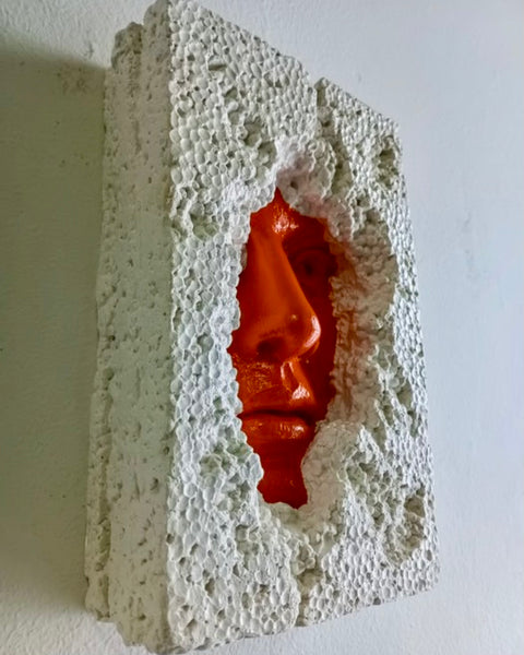 Escultura contemporánea mural « Packaging » - SALVATORE ALIBRIO